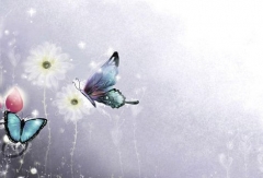 英語美文：人生的“蝴蝶效應”